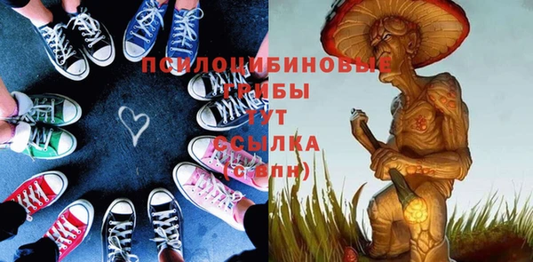 прущий лед Алексин