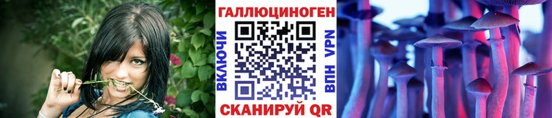 Галлюциногенные грибы Cubensis  Тюмень 